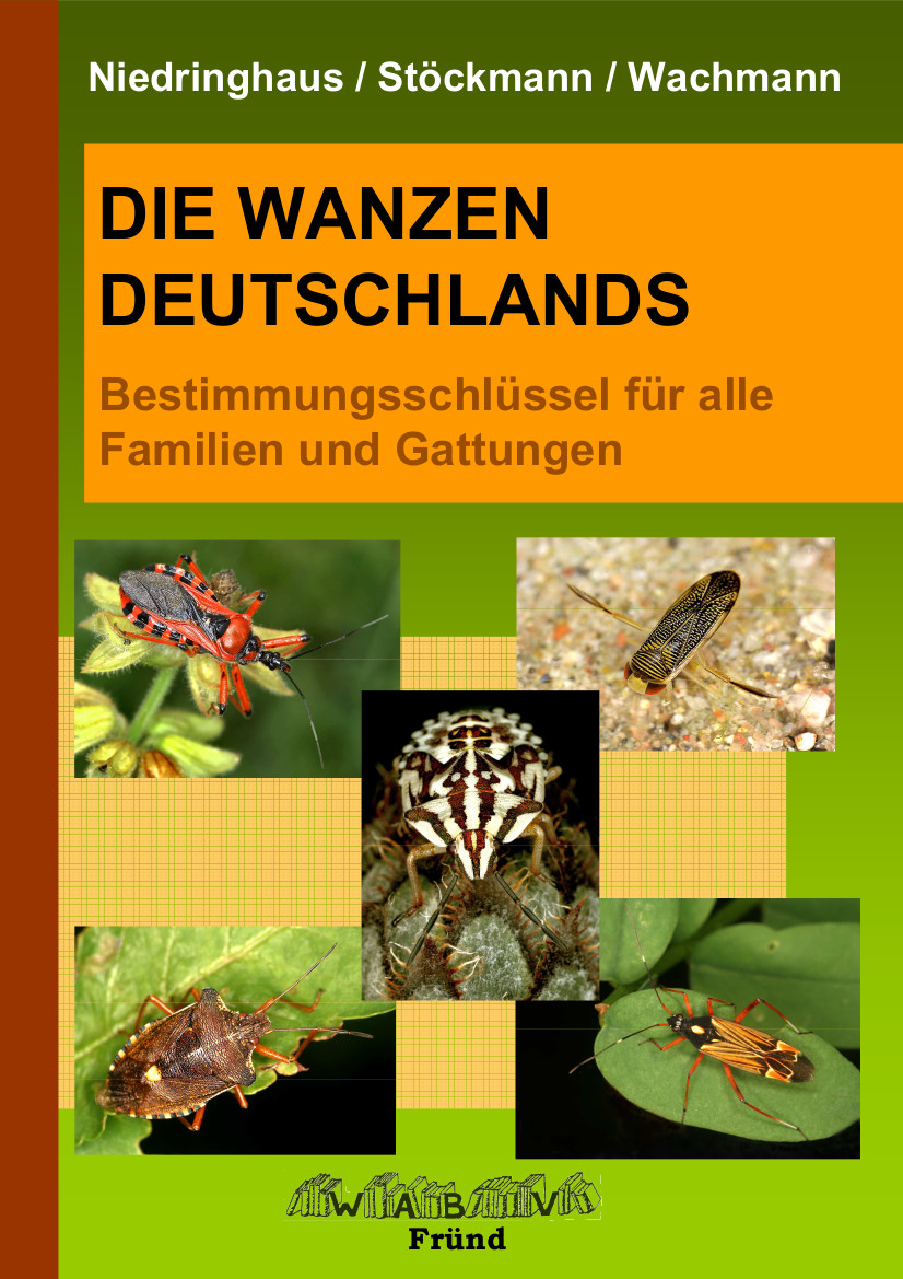 Die Wanzen Deutschlands Teil 1 (Schlüsselband)